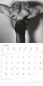 Preview: Masculine 2026 | Ralf Wehrle und Uwe Frank | 30 x 30 cm | aufgeklappt 30 x 60 cm Fotografen: Ralf Wehrle und Uwe Frank Black & White Fotodesign Alpha Edition