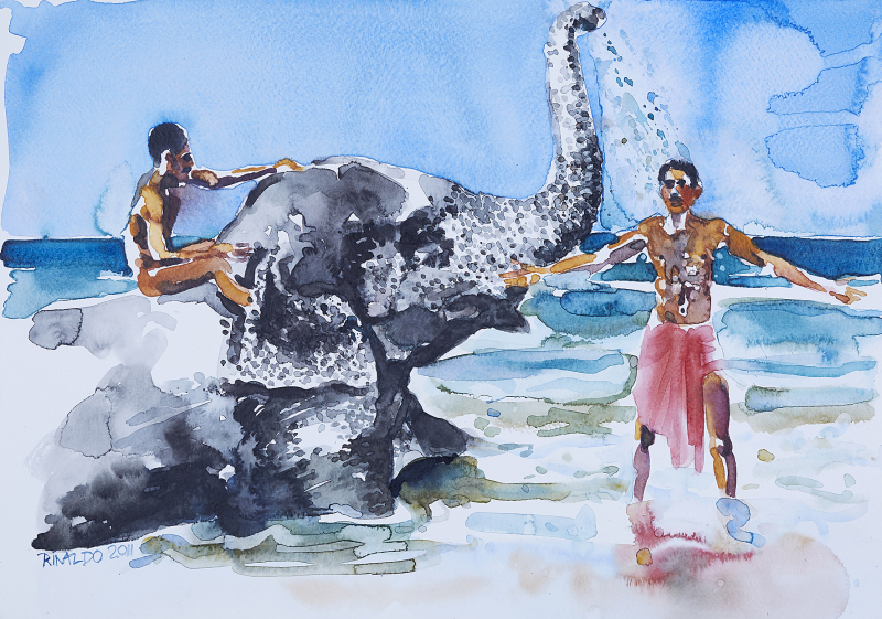 Elefantenbad, Indien | 2011 | Rinaldo Hopf Aquarell ca. 30x40 cm